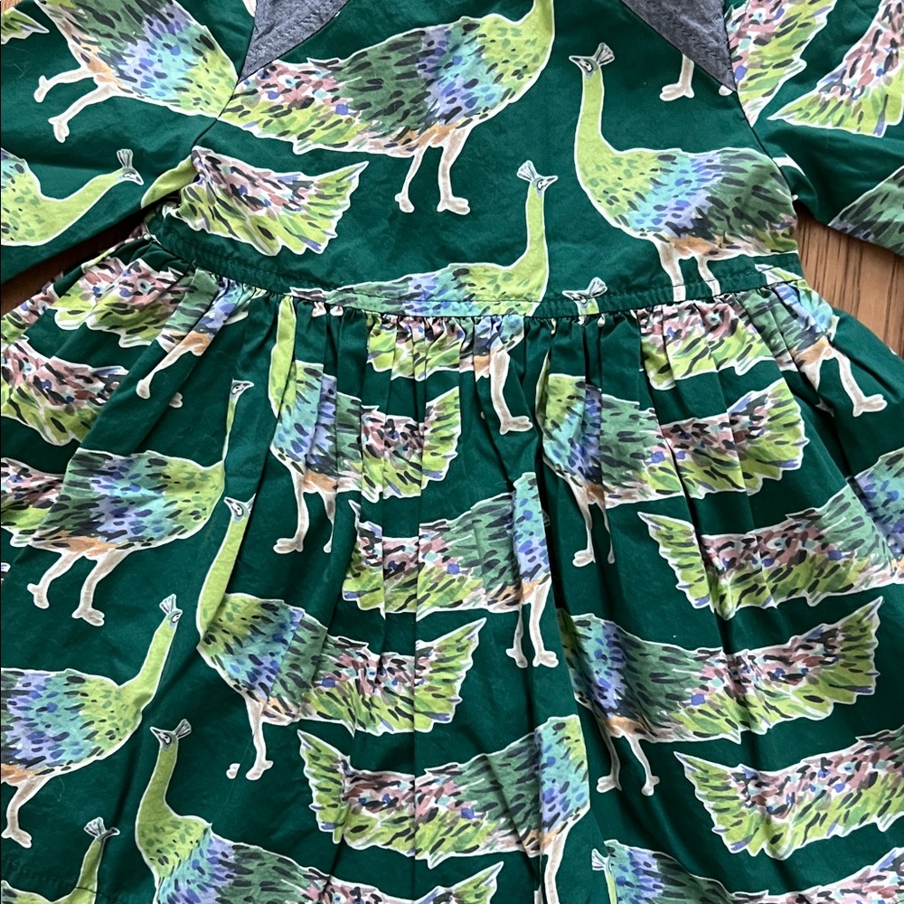 Pink Chicken Teal and Green Floral Dress - Picture 4 of 5